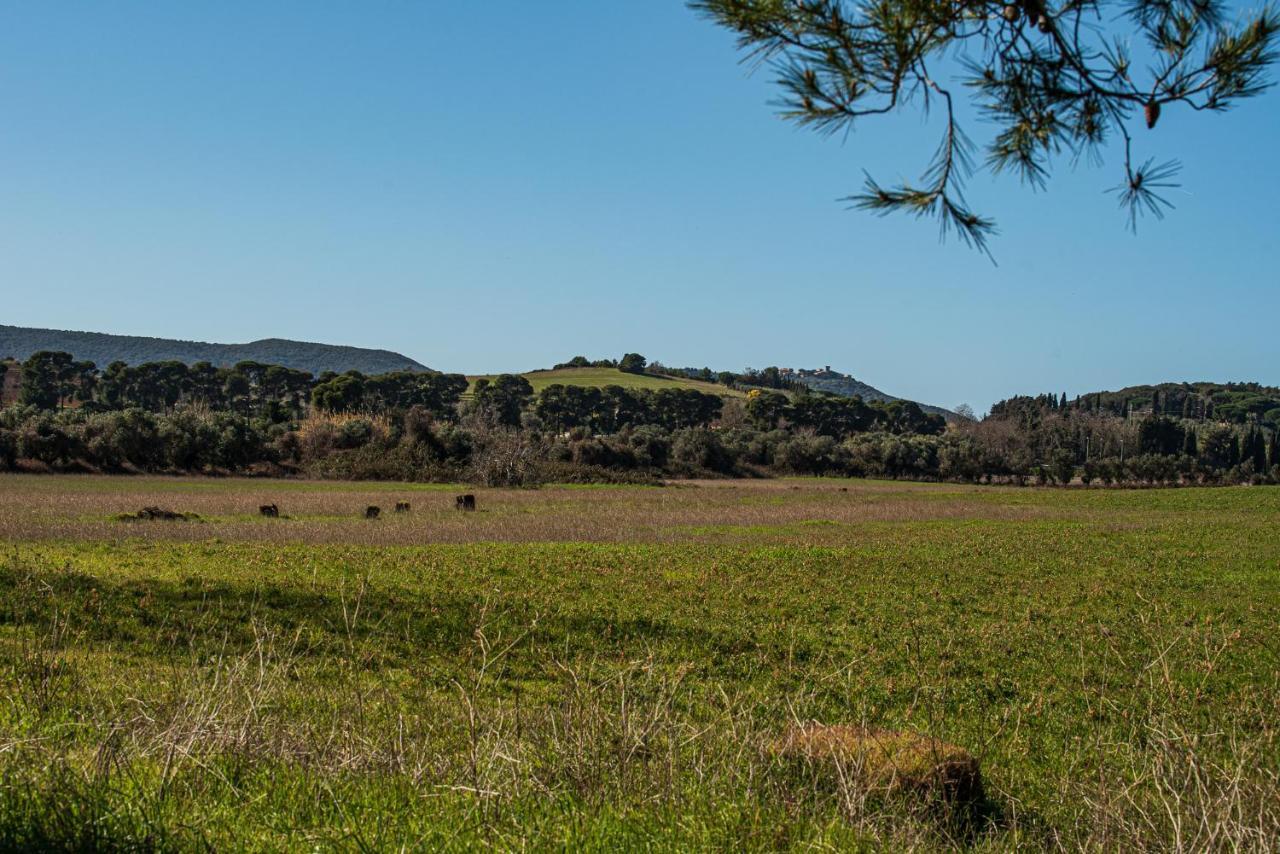 Poggio All'Agnello Sport & Active Holidays Populonia Exterior foto